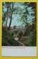 Preview: Ansichtskarte Basel / Partie im St. Margareten Park / 1900 / Brücke